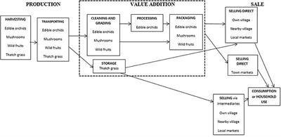Non-timber Forest Product Use and Market Chains Along a Deforestation Gradient in Southwest Malawi